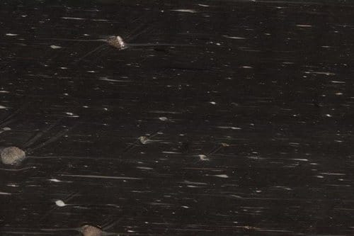 Cygnus Black  