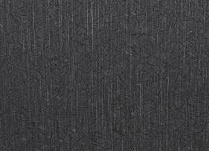 Black Ice  